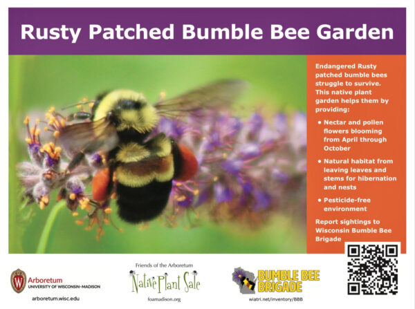 Mixed Garden Kit – Endangered Rusty Patched Bumble Bee Garden